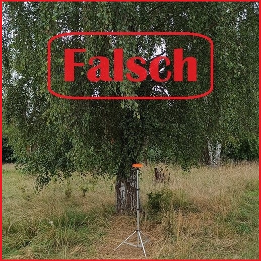 Basis falsch